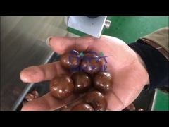 Chocolate truffle making machine/Chocolate truffles ball rollermachine