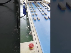 파퍼 고속도 다중회선 단백질 날짜 봉재 압출기 기계