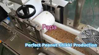 Papa Small P320 땅콩치키 제품군 테스트 영상